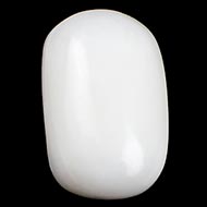 White Coral - 9.95 Carats - I