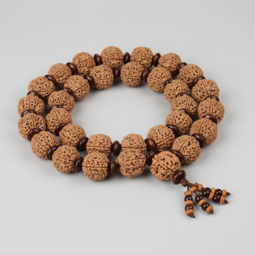 Collector 4 Mukhi Brahma Kantha with Red Sandalwood Beads