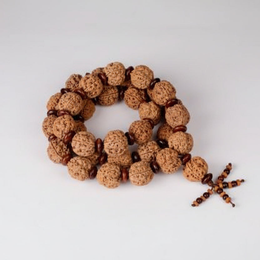 Collector 4 Mukhi Brahma Kantha with Red Sandalwood Beads