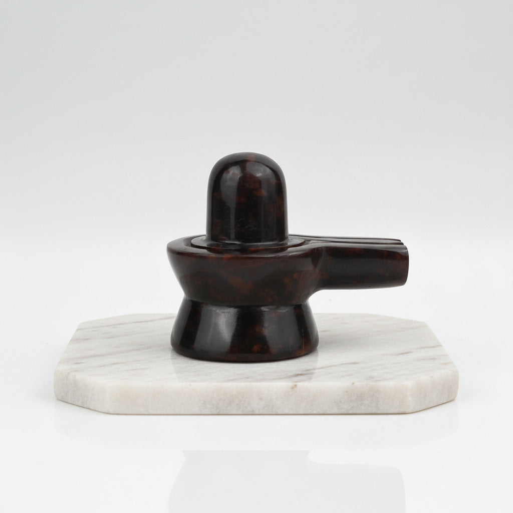 Gomed Shivling 150 to 160 gms