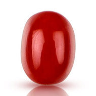 Red Italian Coral - 2.65 Carats - I