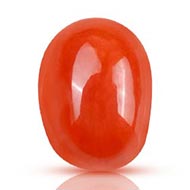 Red Italian Coral - 4.20 Carats - ii