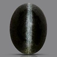 Black Cats Eye - 2.92 Carats - I