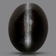 Black Cats Eye - 3.76 Carats