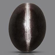 Black Cats Eye - 5.87 Carats