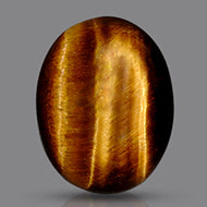 Tiger Eye - 19.65 Carats