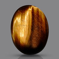 Tiger Eye - 19.55 Carats