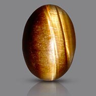 Tiger Eye - 7.60 Carats
