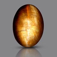 Tiger Eye - 7.45 Carats