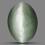 Cats Eye - Orissa - Bihar - 9 to 11 Carats