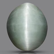Cats Eye - Orissa - Bihar - 8.05 Carats