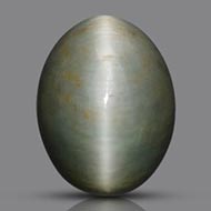 Cats Eye - Orissa - Bihar - 8.10 Carats