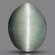 Cats Eye - Orissa - Bihar - 8.85 Carats