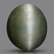 Cats Eye - Orissa - Bihar - 8.95 Carats
