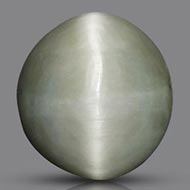 Cats Eye - Orissa - Bihar - 7 Carats