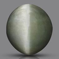 Cats Eye - Orissa - Bihar - 7.20 Carats