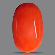Red Italian Coral - 3.74 Carats