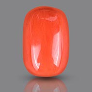 Red Italian Coral - 19.05 Carats