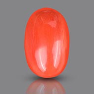 Red Italian Coral - 11.80 Carats - I