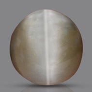 Cat’s Eye India - 7 Carats