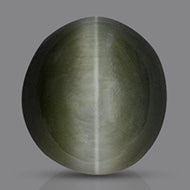 Cat’s Eye India - 7.15 Carats