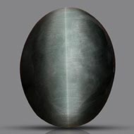 Cat’s Eye India - 7.65 Carats