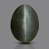 Cat’s Eye India - 16.70 Carats
