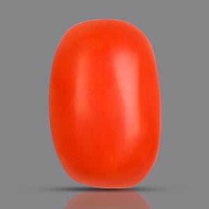 Italian Red Coral (Moonga) - 4.85 Carats