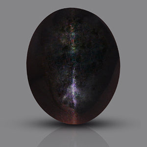 Black Cats Eye - 3.25 Carats
