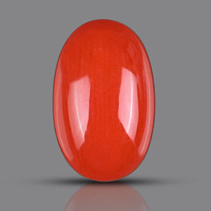 Red Italian Coral - 3.60 Carats