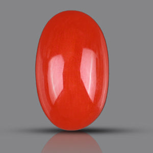 Red Italian Coral - 3.75 Carats