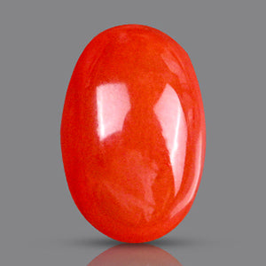 Red Italian Coral - 4.05 Carats