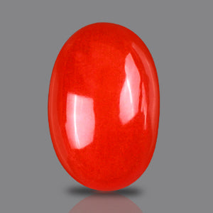 Red Italian Coral - 4.45 Carats