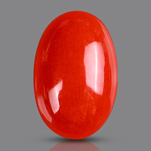 Red Italian Coral - 4.65 Carats