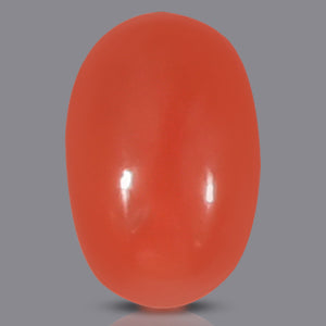 Red Italian Coral - 3.10 Carats