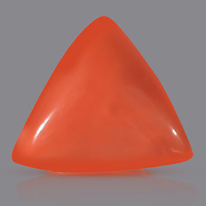 Red Italian Coral Triangular - 14.80 Carats