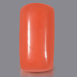 Red Italian Coral - 13.35 Carats