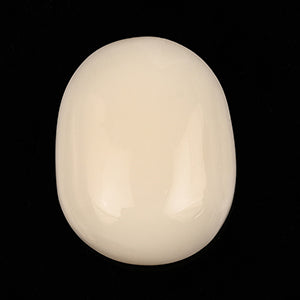 White Coral - 7.90 Carats