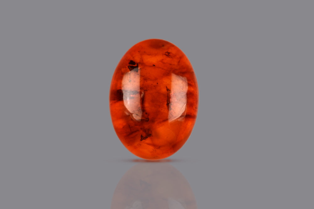 Golden Honey Baltic Amber - 6.80 Carats