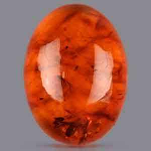 Golden Honey Baltic Amber - 6.90 Carats