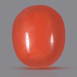 Red Italian Coral - 30.75 Carat