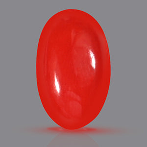 Red Italian Coral - 4.50 Carats
