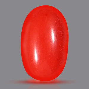 Red Italian Coral - 4.60 Carats