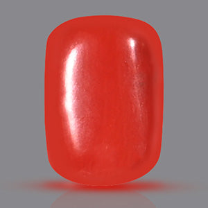 Red Italian Coral - 4.90 Carats