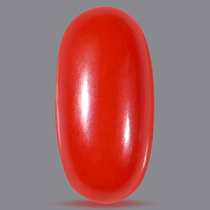 Red Italian Coral - 5.10 Carats