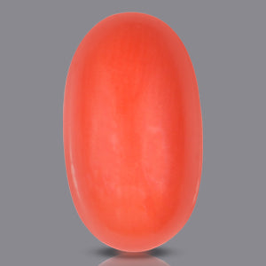 Red Italian Coral - 5.15 Carats