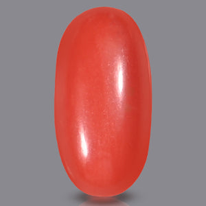 Red Italian Coral Stone - 5.60 Carats