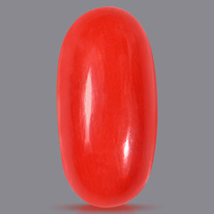 Red Italian Coral - 5.60 Carats