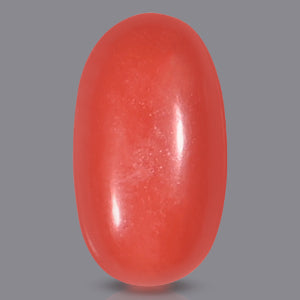 Red Italian Coral - 5.65 Carats