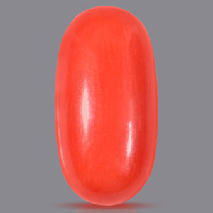 Red Italian Coral - 5.90 Carats